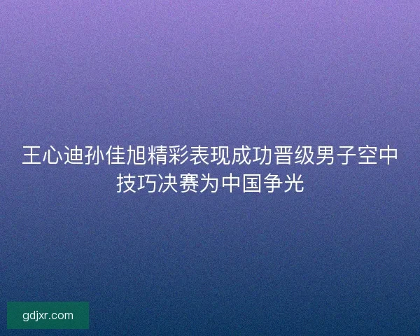 王心迪孙佳旭精彩表现成功晋级男子空中技巧决赛为中国争光
